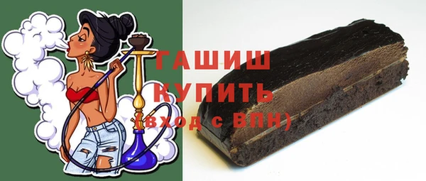 индика Краснослободск