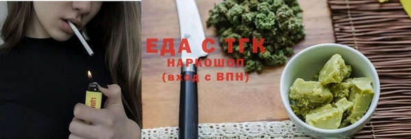 индика Краснослободск