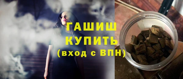 индика Краснослободск