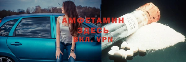 индика Краснослободск