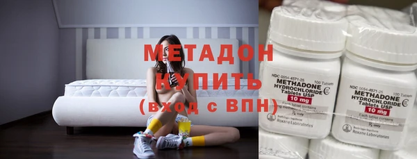индика Краснослободск