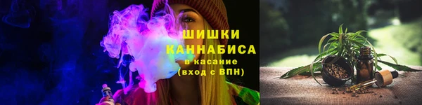 индика Краснослободск