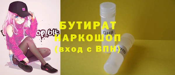 индика Краснослободск