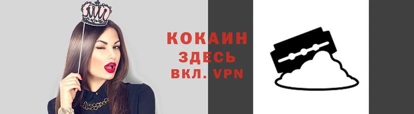 индика Краснослободск