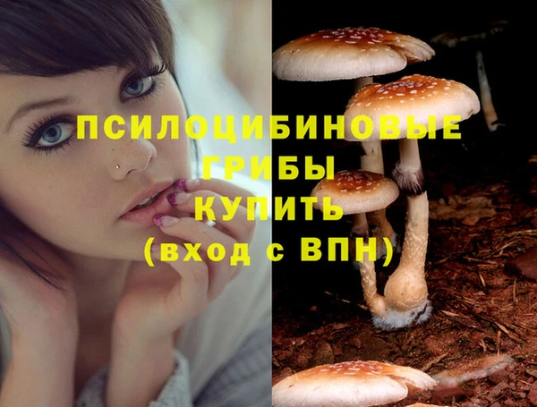 мяу мяу мука Краснотурьинск
