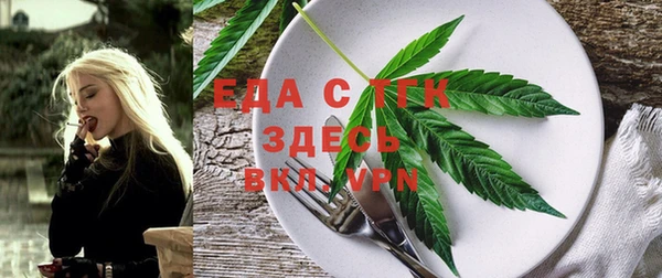 индика Краснослободск