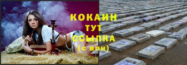 индика Краснослободск