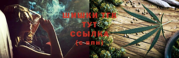 индика Краснослободск