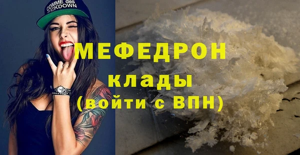 индика Краснослободск