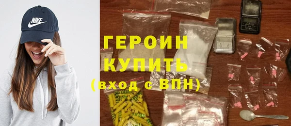 индика Краснослободск