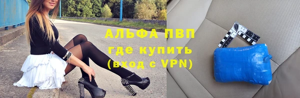 индика Краснослободск